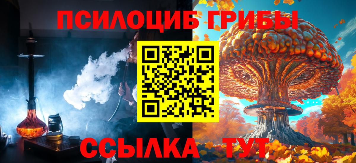 купить наркотики сайты  Галлюциногенные грибы MAGIC MUSHROOMS  Вход с VPN  Галлюциногенные грибы MAGIC MUSHROOMS  Истра 