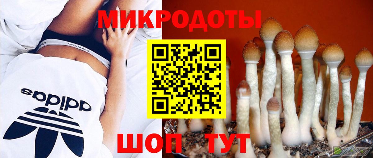 Псилоцибиновые грибы ЛСД Истра
